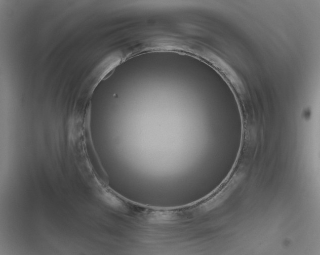 X0000116791385201001081304