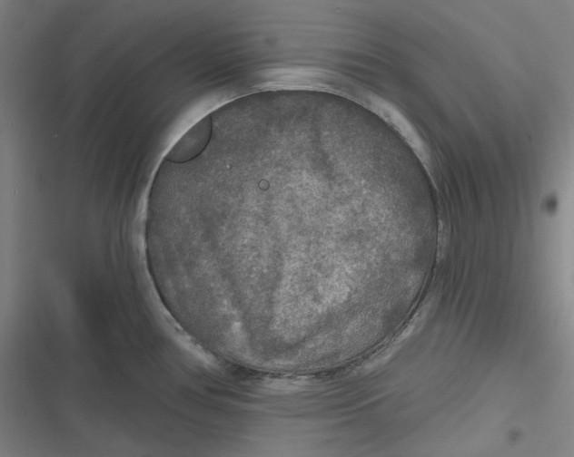 X0000116791386201001081304