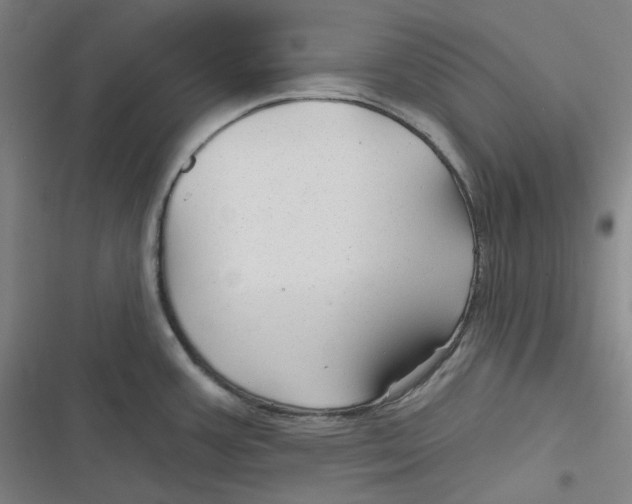 X0000116791387201001081304