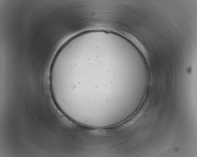 X0000116791388201001081304