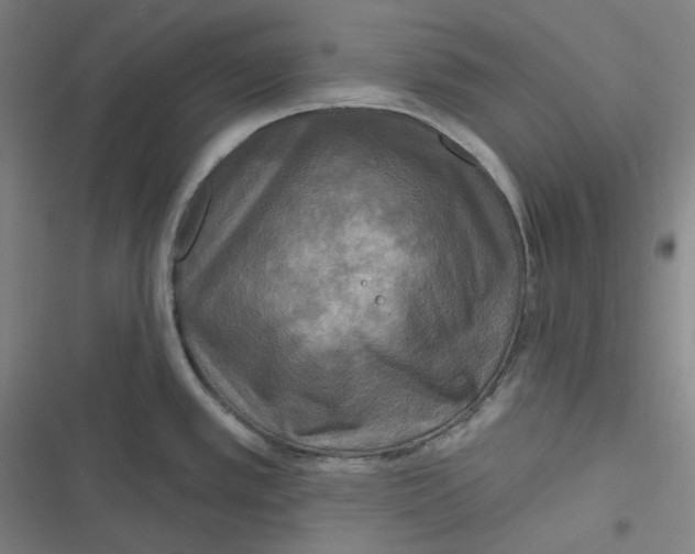 X0000116791389201001081304