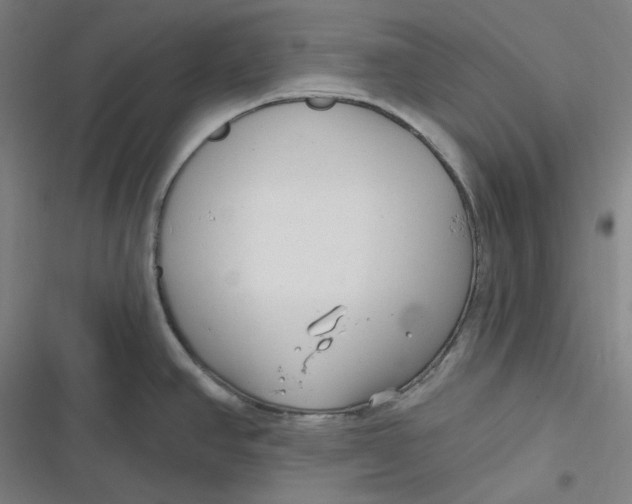 X0000116791390201001081304