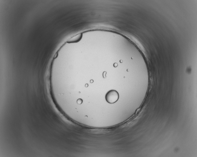 X0000116791391201001081304