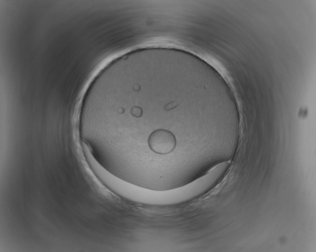 X0000116791392201001081304