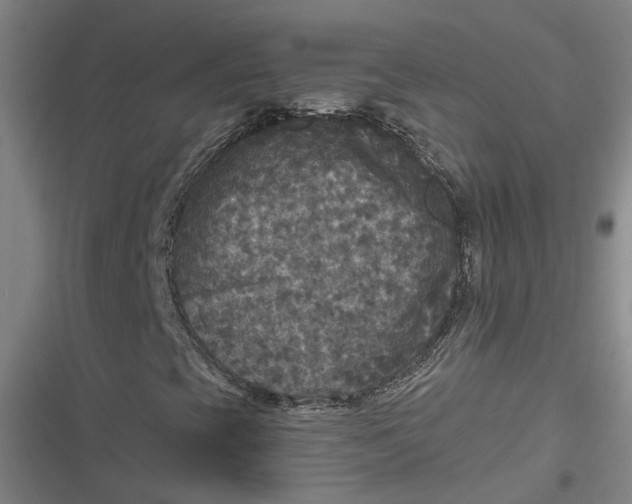 X0000116791393201001081304