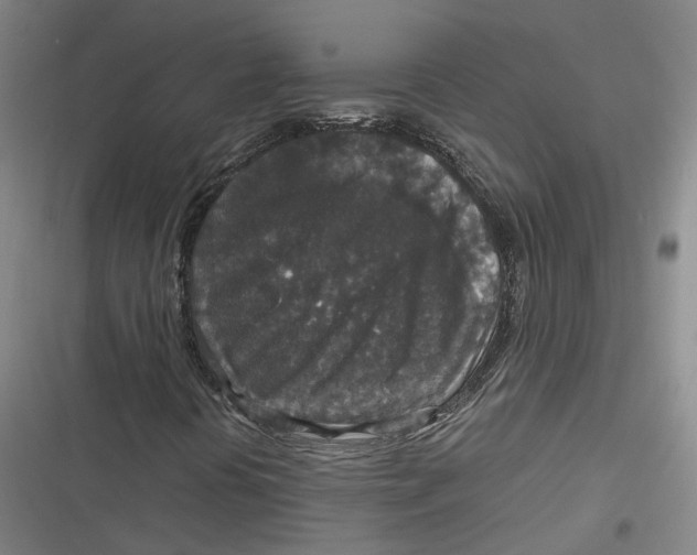 X0000116791394201001081304