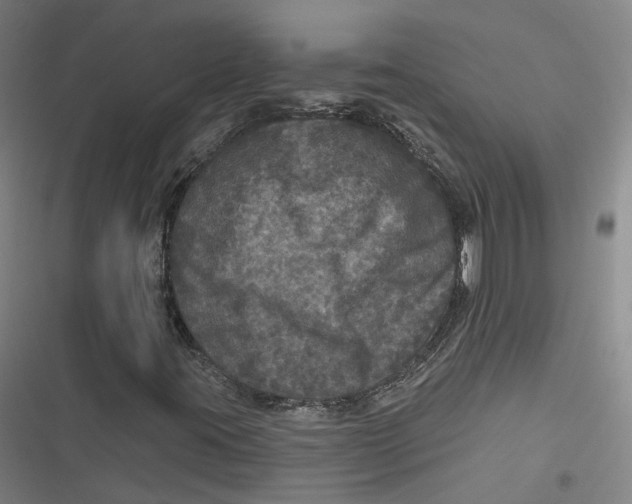 X0000116791395201001081304