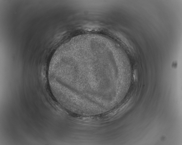 X0000116791396201001081304