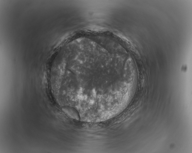 X0000116791397201001081304