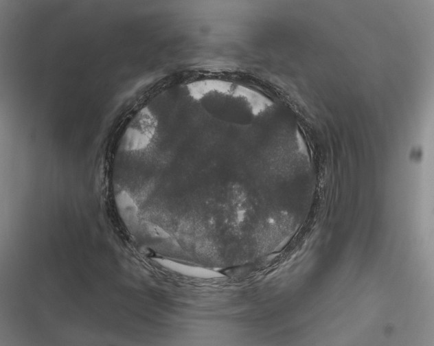 X0000116791398201001081304