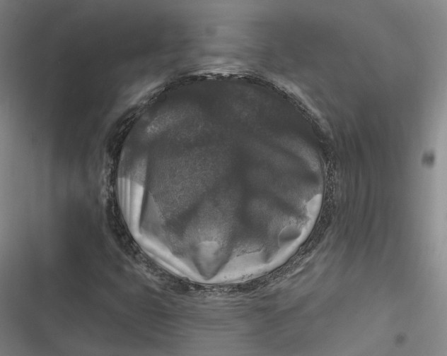 X0000116791399201001081304