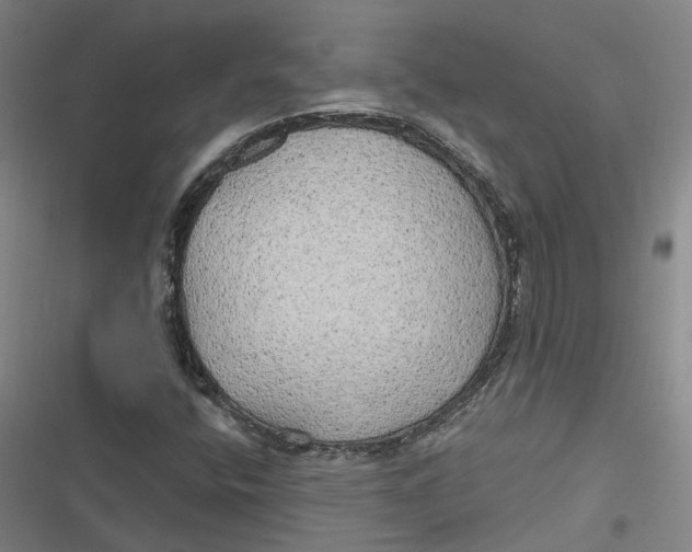 X0000116791400201001081304