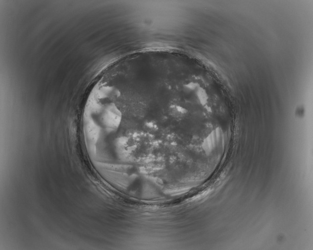 X0000116791401201001081304