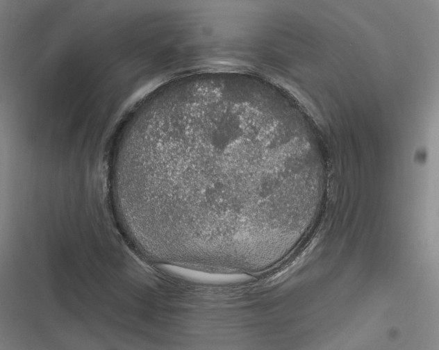 X0000116791402201001081304