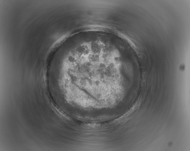 X0000116791403201001081304