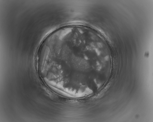 X0000116791405201001081304