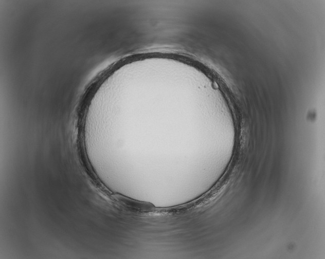 X0000116791406201001081304