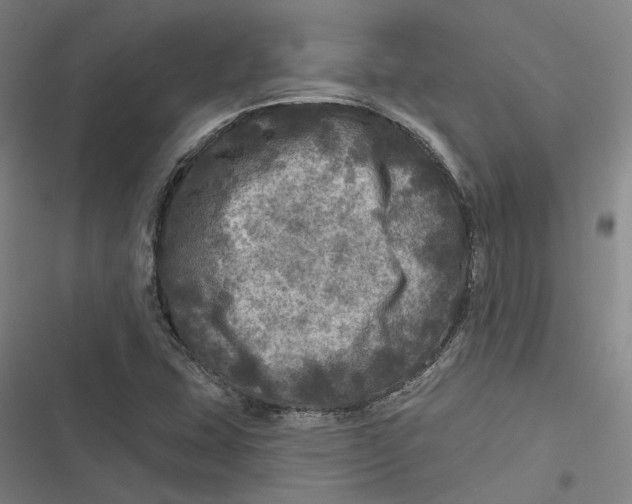 X0000116791407201001081304