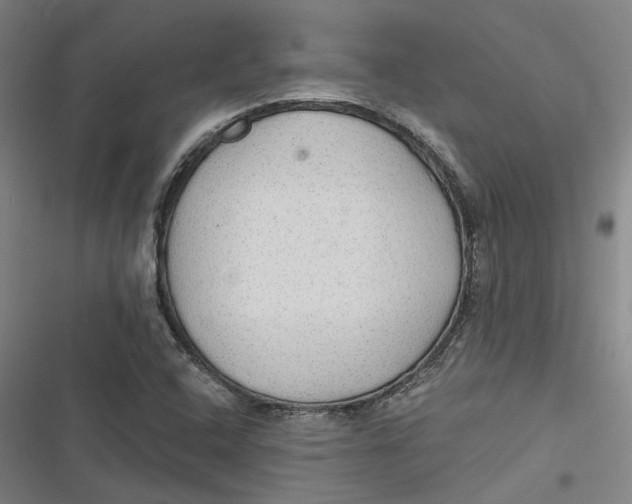 X0000116791408201001081304