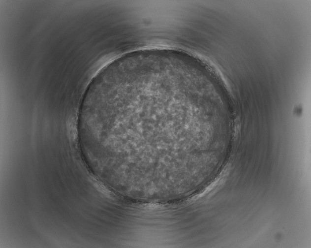 X0000116791409201001081304