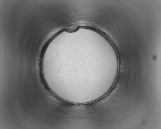 X0000116791410201001081304