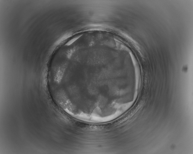 X0000116791411201001081304