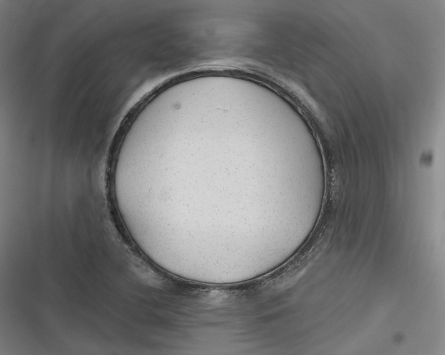 X0000116791412201001081304