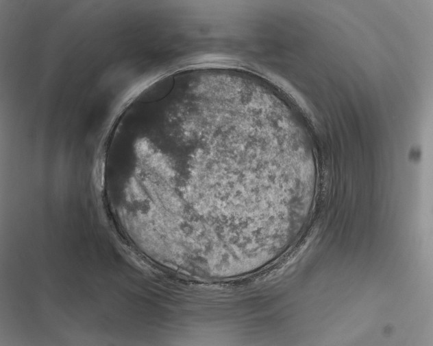 X0000116791413201001081304