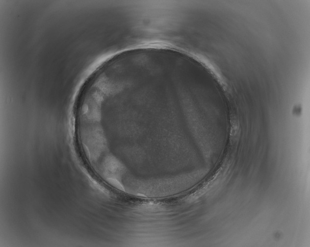 X0000116791414201001081304