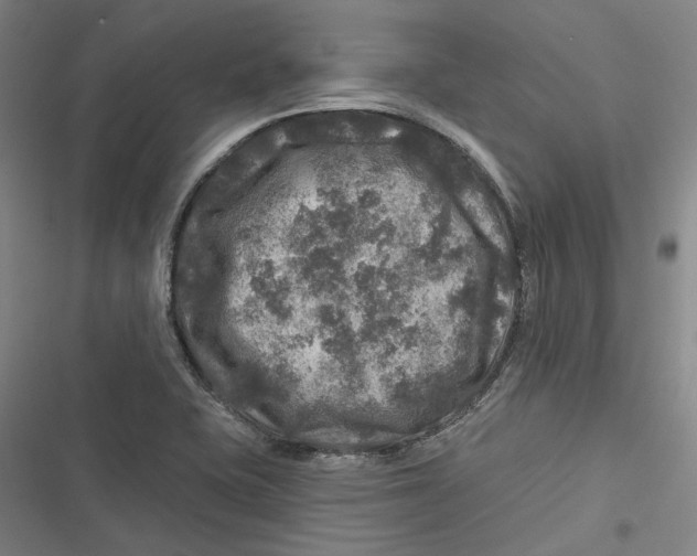 X0000116791415201001081304