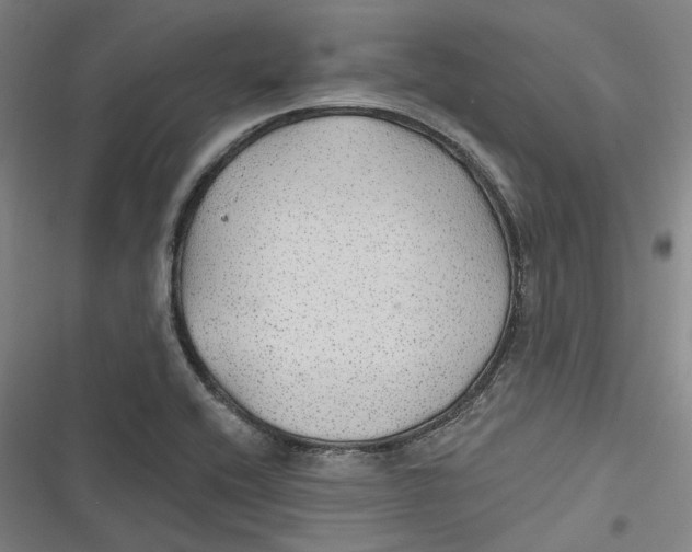 X0000116791416201001081304