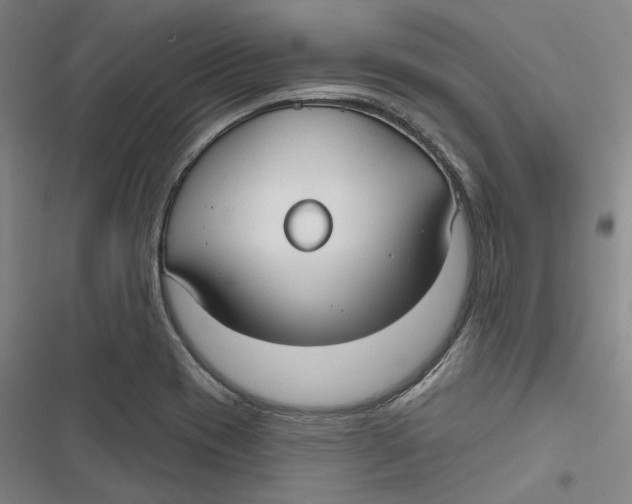 X0000116791417201001081304