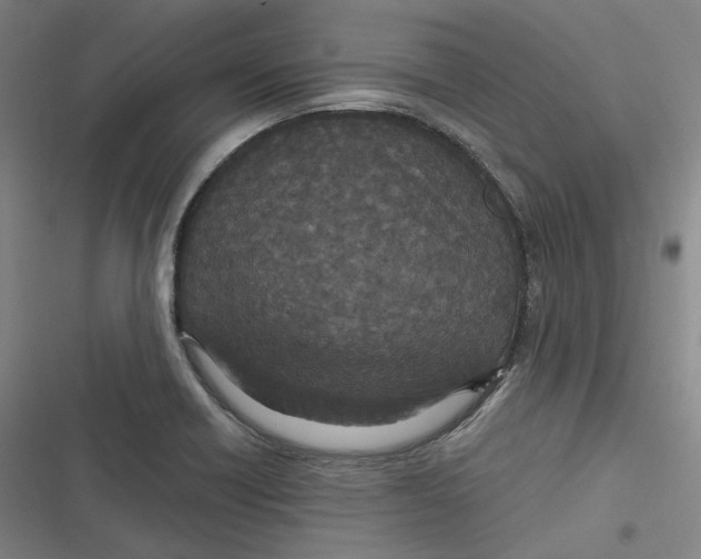 X0000116791418201001081304