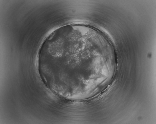 X0000116791419201001081304