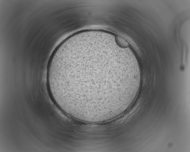 X0000116791420201001081304