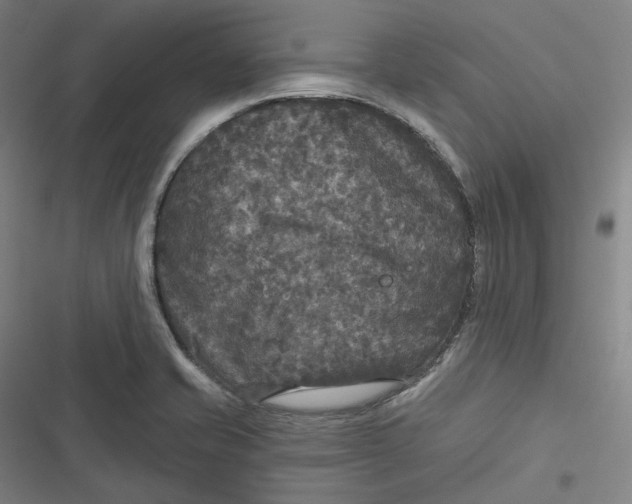 X0000116791421201001081304