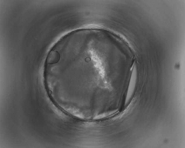 X0000116791422201001081304