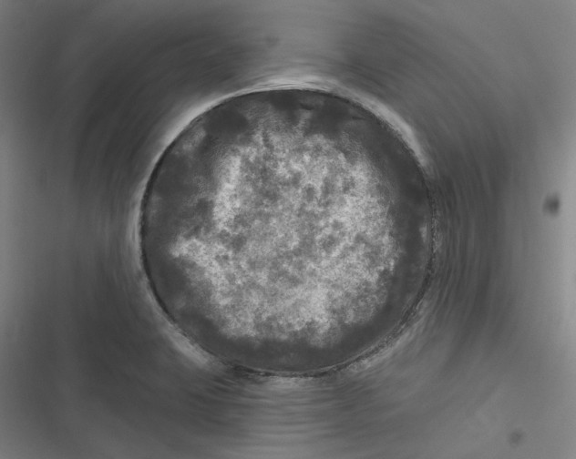 X0000116791423201001081304