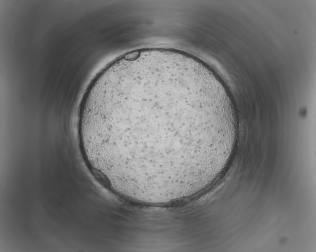 X0000116791424201001081304