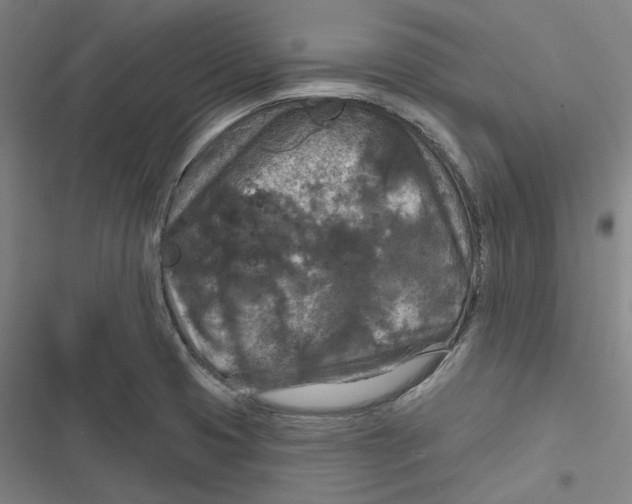 X0000116791425201001081304