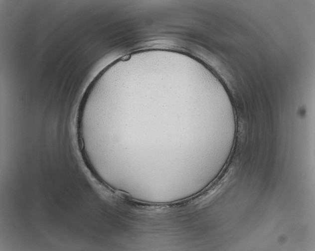 X0000116791426201001081304