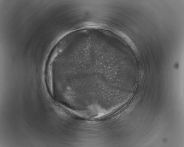 X0000116791427201001081304