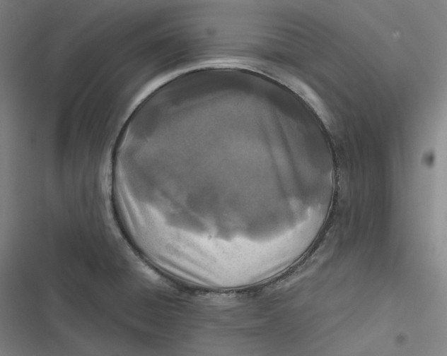 X0000116791428201001081304