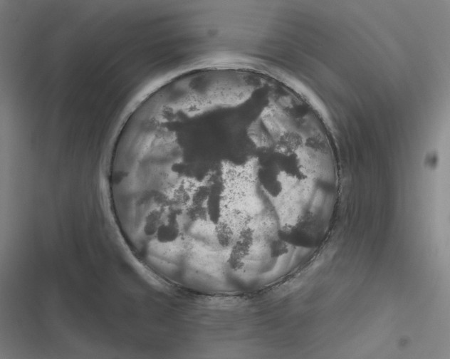 X0000116791429201001081304