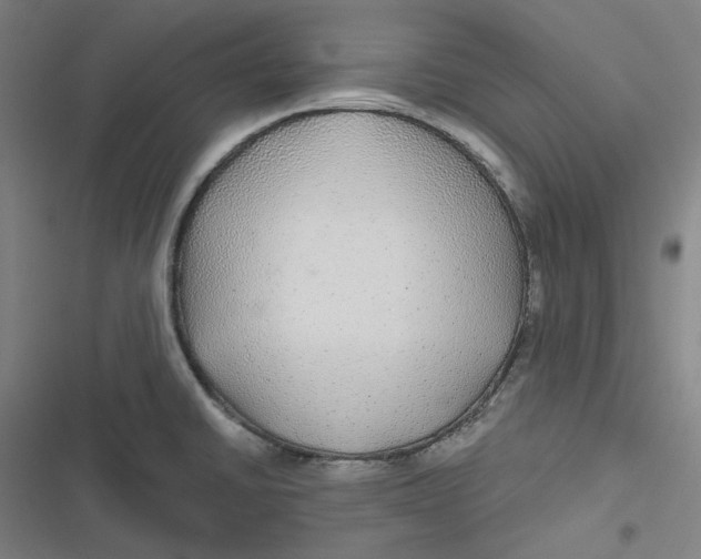 X0000116791430201001081304