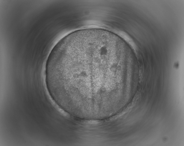 X0000116791431201001081304