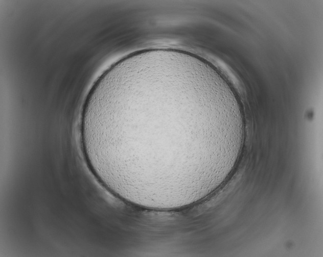 X0000116791432201001081304