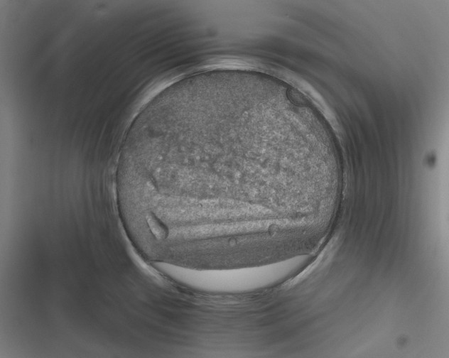 X0000116791433201001081304