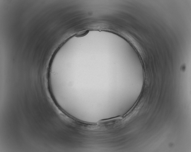 X0000116791434201001081304