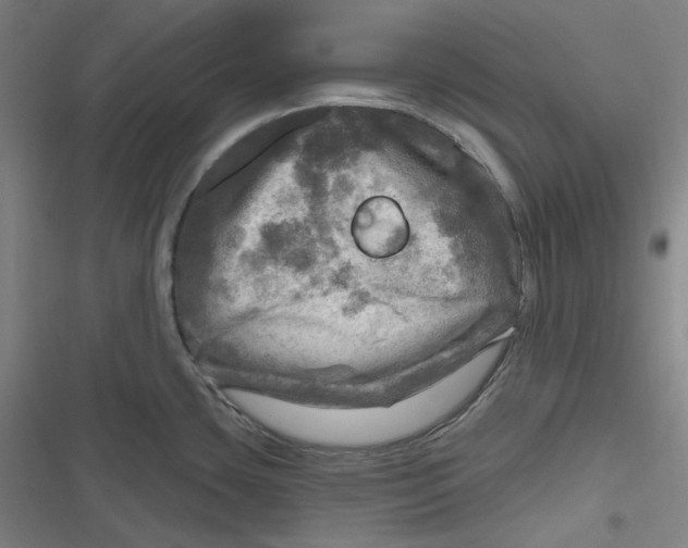 X0000116791435201001081304